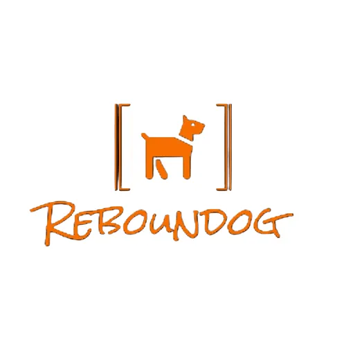 Reboundog News icon