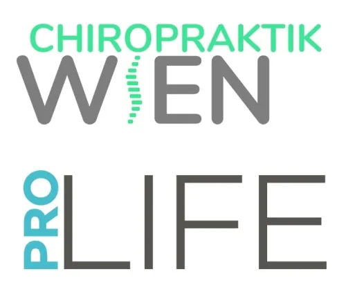 Chiropraktik Wien icon