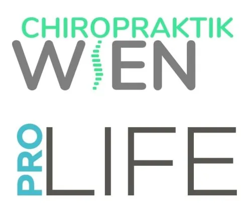 Chiropraktik Wien icon