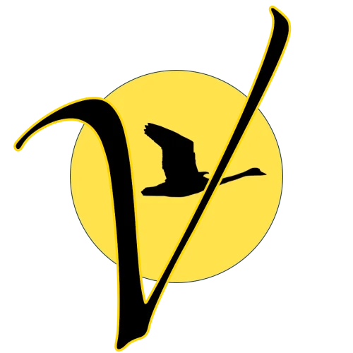 Vox Nostra | The Our Voice icon