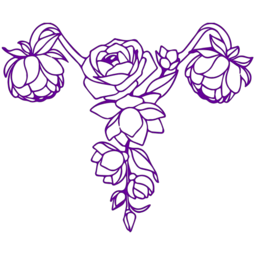 Stay Curious Club icon