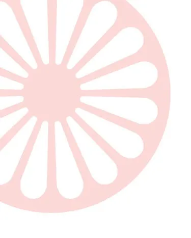 NEVIPENS ROMANÍ icon