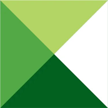 The Nonprofit CEO icon