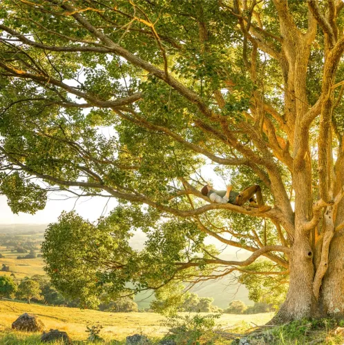 The Place Without Coordinates icon