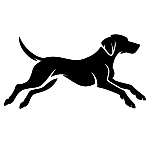 Sendō Worldwide icon