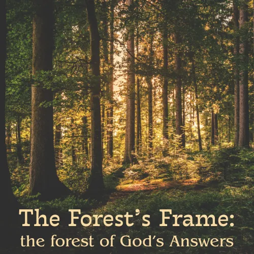 The Forest of God's Answers icon