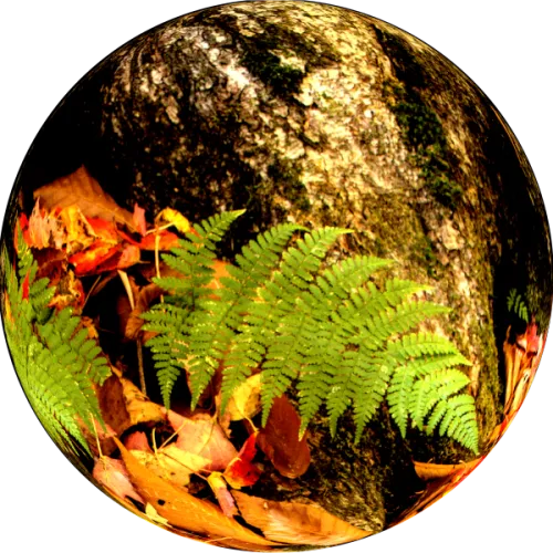 Xcentric Diffractions icon