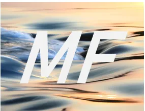Metabolic Flow icon