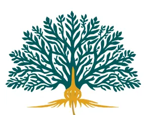 Herbalism Today icon