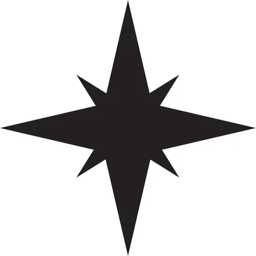 Compass icon