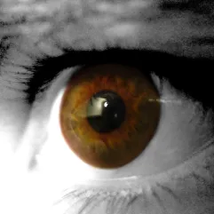 The Great Escapism icon