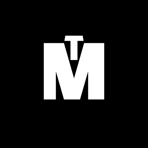 themajor.online icon