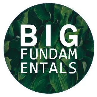 Big Fundamentals icon