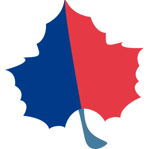 梧桐小讲堂 icon