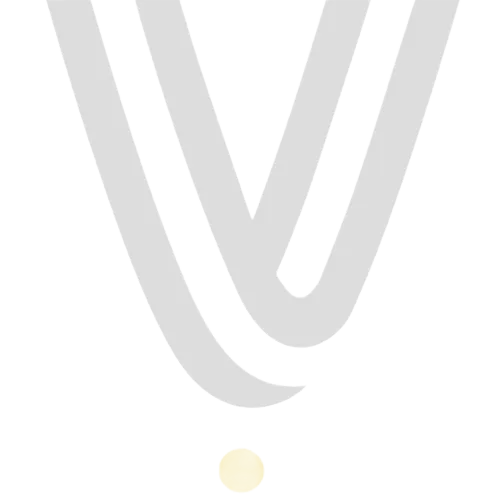 VSPORT.online icon