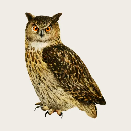 The Archival Owl icon