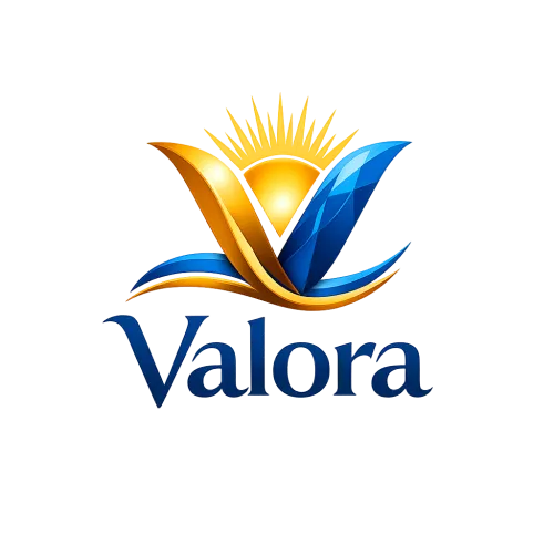 Valora | Practical Financial Guidance icon