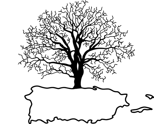 Obras del País icon