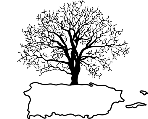 Obras del País icon