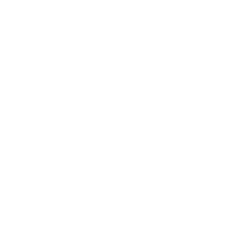 Demograpo Analytics icon