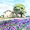 Dessin Provence icon