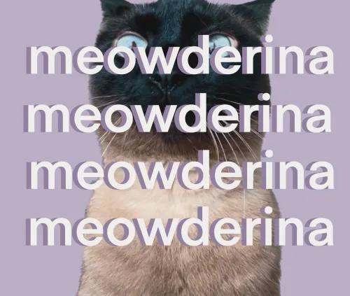 meowderina icon