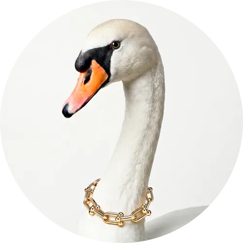 Clarense icon