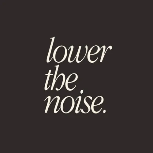 Lower The Noise icon