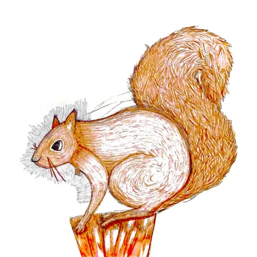 hello squirrel icon