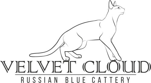 Velvet Cloud Cattery icon