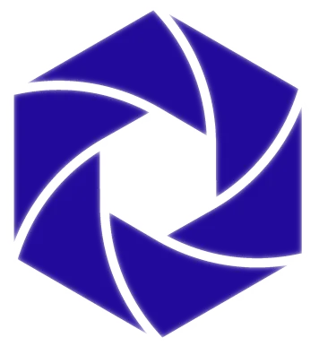 Rapid Information Systems icon