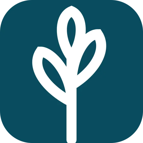 Bloomzy icon
