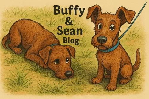 Buffy und Sean icon