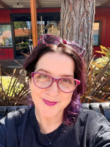 The Joy Diaries icon