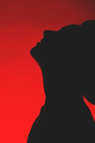 Velvet scandal icon