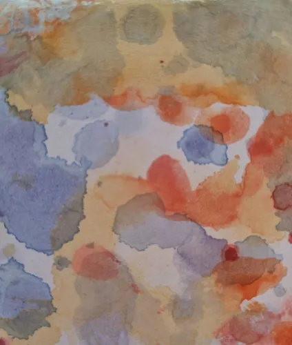 Reid's Wellness icon