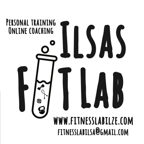 Ilsas FitLab icon