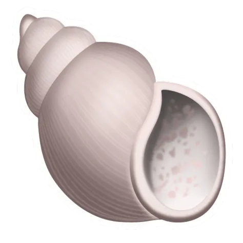 sshell@blog:~$ ▌ icon