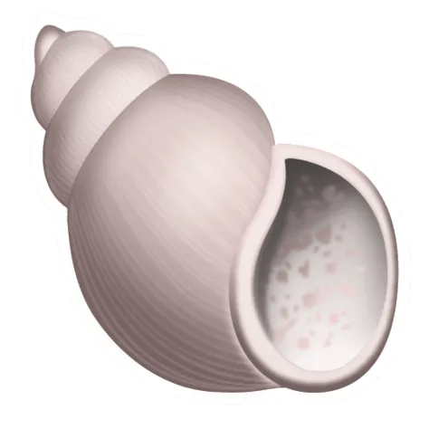 sshell@blog:~$ ▌ icon