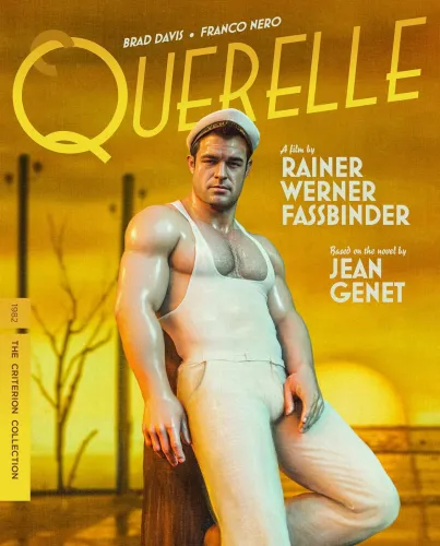 Querelle icon