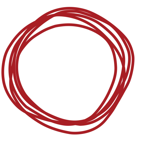 Tim Lineaweaver icon