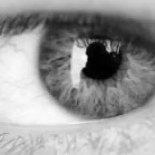 An Improvised Life icon