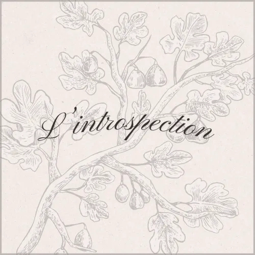 L'introspection icon