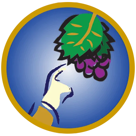 Butow Communications Group icon