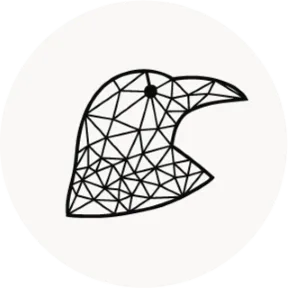 Ravenwood icon