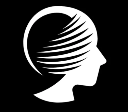 Identity Intelligence icon