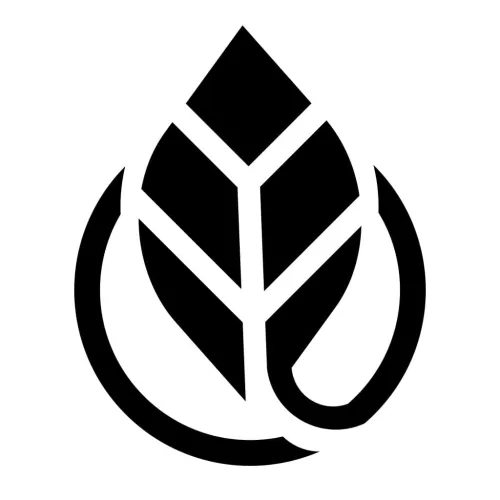 Semantic Architecture icon