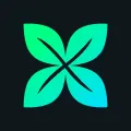 Crossmint icon