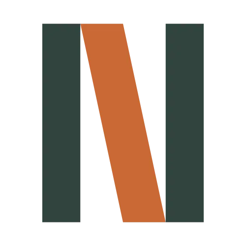 Novum Intelligence icon