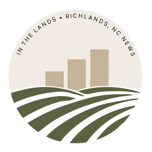 In the Lands icon